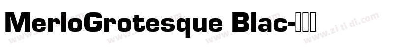 MerloGrotesque Blac字体转换